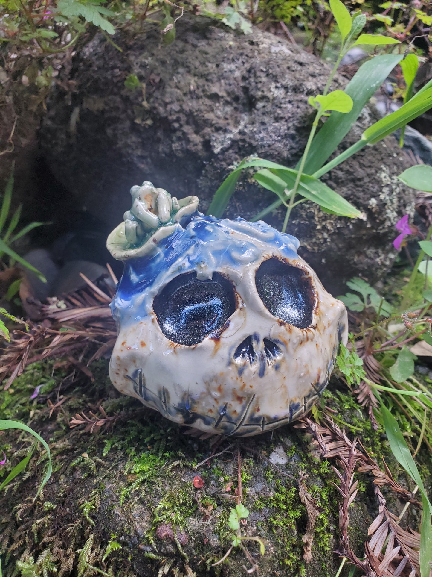 Skull Sculpter with Frog